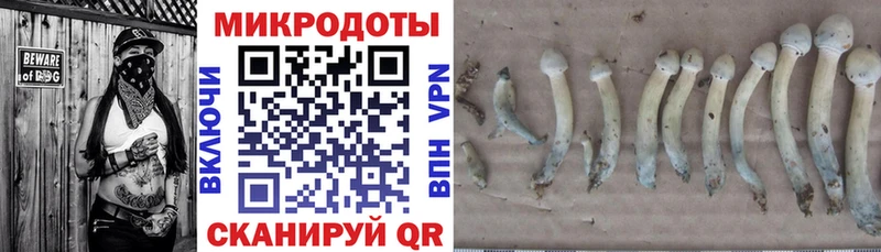 Галлюциногенные грибы Psilocybine cubensis  Сызрань 